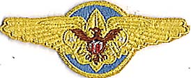 Assistant Squadron Leader, AS-06